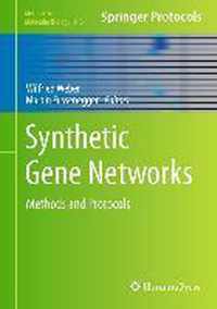 Synthetic Gene Networks