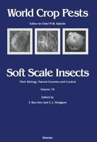 Soft Scale Insects