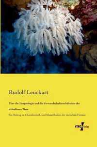 UEber die Morphologie und die Verwandschaftsverhaltnisse der wirbellosen Tiere