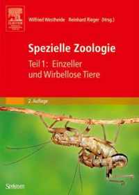 Spezielle Zoologie. Teil 1