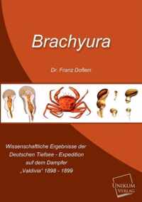 Brachyura