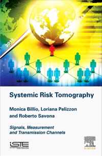 Systemic Risk Tomography