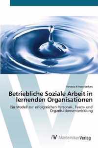 Betriebliche Soziale Arbeit in lernenden Organisationen