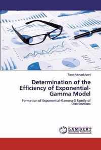 Determination of the Efficiency of Exponential-Gamma Model