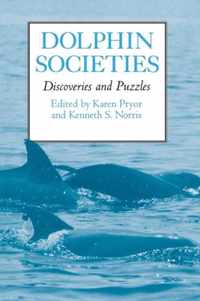 Dolphin Societies