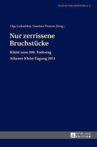 Nur Zerrissene Bruchstuecke