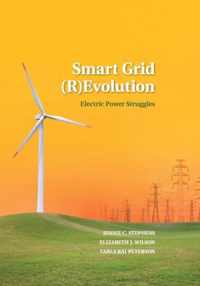 Smart Grid Evolution