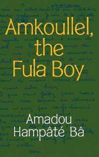 Amkoullel, the Fula Boy