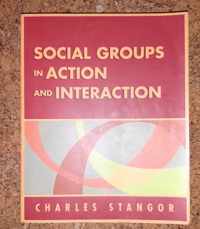 Social Groups in Action and Interaction