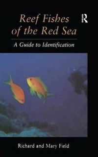 Reef Fish Of The Red Sea