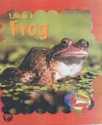 Life As A Frog