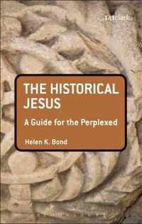 Historical Jesus Guide For The Perplexed