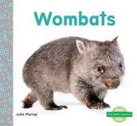 Wombats