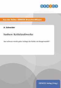 Saubere Kohlekraftwerke