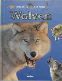 Dieren in het wild - Wolven