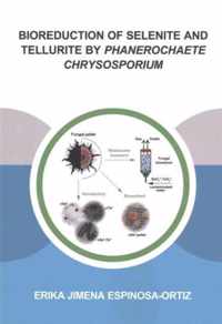 Bioreduction of Selenite and Tellurite by Phanerochaete Chrysosporium