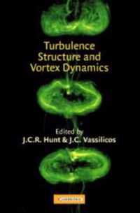 Turbulence Structure and Vortex Dynamics