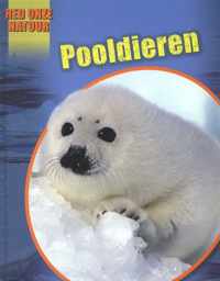 Polar Animals