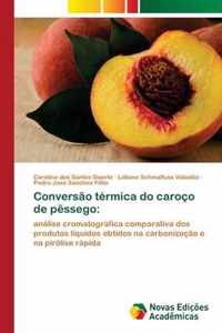 Conversao termica do caroco de pessego