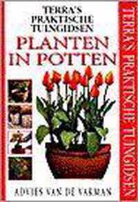 Planten In Potten