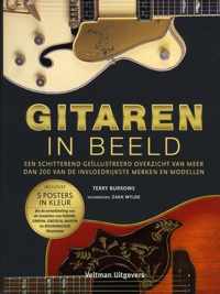 Gitaren in beeld