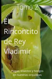 El Rinconcito de Rey Vladimir: Tomo 2