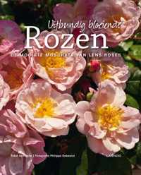 Rozen Natuurlijk