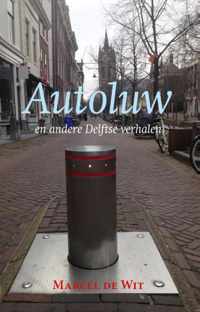 Autoluw - Marcel de Wit - Paperback (9789461550699)