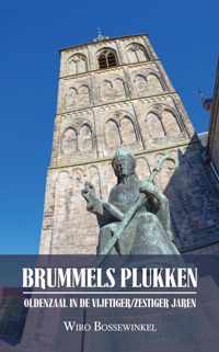 BRUMMELS PLUKKEN - Oldenzaal in de vijftiger/zestiger jaren