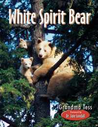 White Spirit Bear