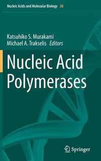 Nucleic Acid Polymerases