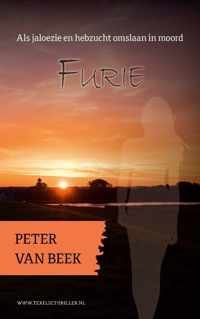 Texelse thrillers 7 -   Furie