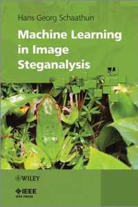 Machine Learning in Image Steganalysis