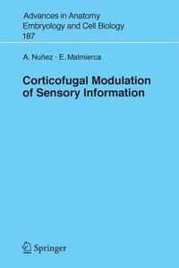 Corticofugal Modulation of Sensory Information