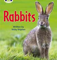 Bug Club Phonics Non Fiction Year Two Phase 5 Set 27 Rabbits