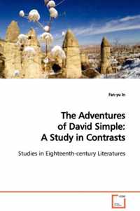 The Adventures of David Simple