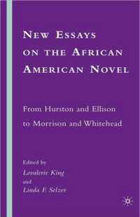 New Essays on the African American Novel