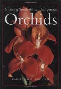 Growing South African Indigenous Orchids