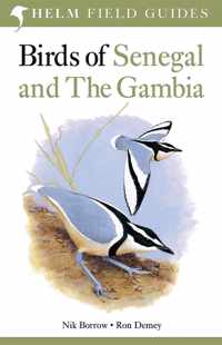 Birds Of The Gambia & Senegal