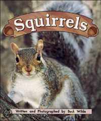 Squirrels