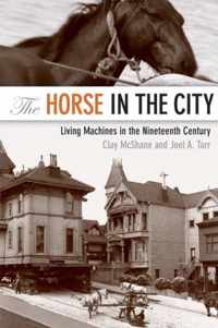 Horse In The City