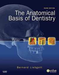 The Anatomical Basis of Dentistry