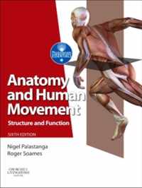 Anatomy and Human Movement