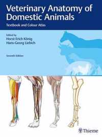 Veterinary Anatomy of Domestic Animals