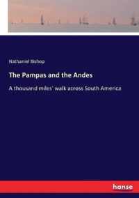 The Pampas and the Andes