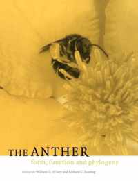 The Anther