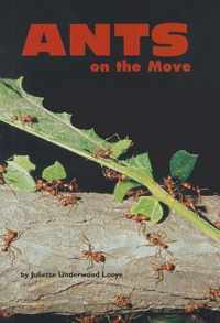 Ants on the Move