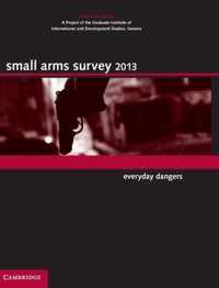 Small Arms Survey 2013