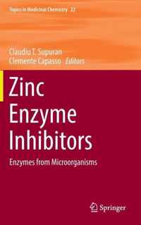 Zinc Enzyme Inhibitors