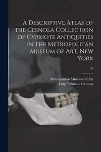 A Descriptive Atlas of the Cesnola Collection of Cypriote Antiquities in the Metropolitan Museum of Art, New York; 2a